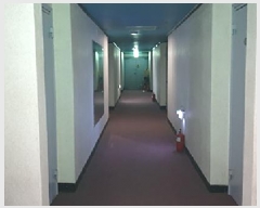  2024Ÿ4080 泲 ȫ ȫ  447-9      ٸü,󰡰