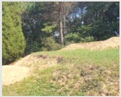  2024Ÿ20051 泲 ȫ Ἲ 긮 101-2      (Ӿ)