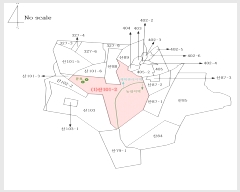  2024Ÿ20051 泲 ȫ Ἲ 긮 101-2      (Ӿ)