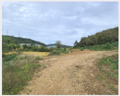  2024Ÿ��20938 �泲 ���걺 ����� ȭ�긮 667      ����(��)���