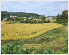  2024Ÿ��20938 �泲 ���걺 ����� ȭ�긮 667      ����(��)���