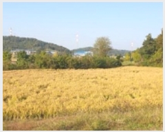  2024Ÿ��20938 �泲 ���걺 ����� ȭ�긮 667      ����(��)���