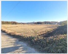  2024Ÿ21337 泲 ɽ õϸ ϸ 722-18      (Ӿ)