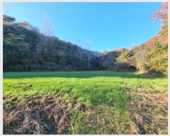  2024Ÿ21337 泲 ɽ õϸ ϸ 722-18      (Ӿ)