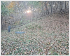  2024Ÿ21337 泲 ɽ õϸ ϸ 722-18      (Ӿ)