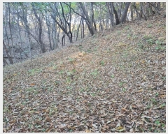  2024Ÿ21337 泲 ɽ õϸ ϸ 722-18      (Ӿ)