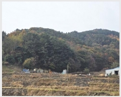  2024Ÿ21382 泲 õ  ų 40-1      (Ӿ)