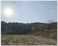  2024Ÿ21382 泲 õ  ų 40-1      (Ӿ)