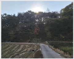  2024Ÿ21382 泲 õ  ų 40-1      (Ӿ)