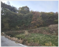  2024Ÿ21382 泲 õ  ų 40-1      (Ӿ)