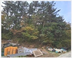  2024Ÿ21382 泲 õ  ų 40-1      (Ӿ)