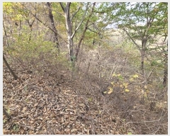  2024Ÿ21382 泲 õ  ų 40-1      (Ӿ)