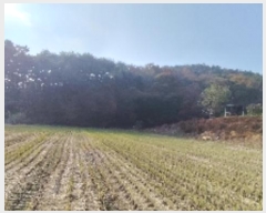  2024Ÿ21382 泲 õ  ų 40-1      (Ӿ)