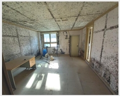  2024Ÿ21702 泲 걺  õ 753-2      ()