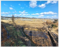  2024Ÿ21702 泲 걺  õ 753-2      ()