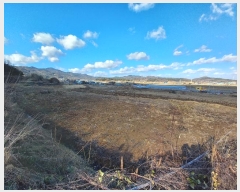  2024Ÿ21702 泲 걺  õ 753-2      ()