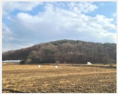  2024Ÿ��21870  �Ӿ߰��