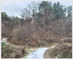  2024Ÿ��21870  �Ӿ߰��