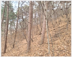  2024Ÿ��21870  �Ӿ߰��