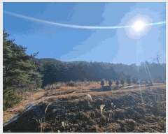  2024Ÿ22101 泲 ɽ ֻ 긮 65-44      (Ӿ)