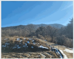  2024Ÿ22101 泲 ɽ ֻ 긮 65-44      (Ӿ)