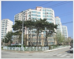  2024Ÿ1364 泲 걺   341-1      ٸü,󰡰