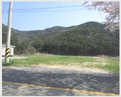  2024Ÿ1364 泲 걺   341-1      ٸü,󰡰