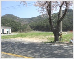  2024Ÿ1364 泲 걺   341-1      ٸü,󰡰