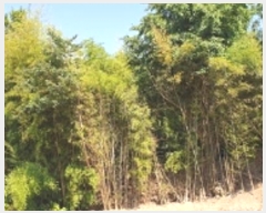  2024Ÿ2053 泲 걺  õ 37-1      ()