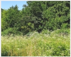  2024Ÿ��2053 �泲 ���걺 ������ ��õ�� 36-1      ����(��1)���