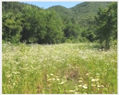  2024Ÿ��2053 �泲 ���걺 ������ ��õ�� 36-1      ����(��1)���