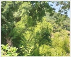  2024Ÿ2053 泲 걺  õ 37-1      ()