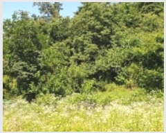  2024Ÿ2053 泲 걺  õ 37-1      ()