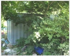  2024Ÿ2053 泲 걺  õ 37-1      ()