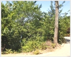  2024Ÿ2053 泲 걺  õ 37-1      ()