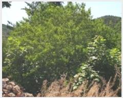  2024Ÿ2053 泲 걺  õ 37-1      ()