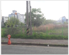  2024Ÿ��17147 �泲 ȫ���� ȫ���� ���ϸ� 993      ����(����)���