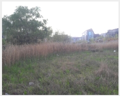  2024Ÿ��17147 �泲 ȫ���� ȫ���� ���ϸ� 993      ����(����)���