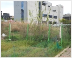  2024Ÿ��17147 �泲 ȫ���� ȫ���� ���ϸ� 993      ����(����)���