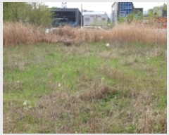  2024Ÿ��17147 �泲 ȫ���� ȫ���� ���ϸ� 993      ����(����)���