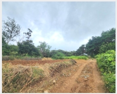  2024Ÿ19853 泲 ȫ ȫ ߰踮 418-7      (Ӿ)