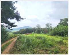  2024Ÿ19853 泲 ȫ ȫ ߰踮 418-7      (Ӿ)