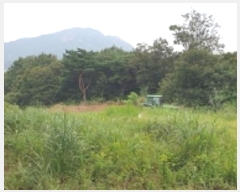  2024Ÿ19853 泲 ȫ ȫ ߰踮 418-7      (Ӿ)