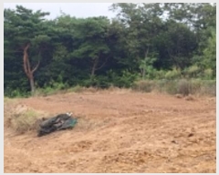  2024Ÿ19853 泲 ȫ ȫ ߰踮 418-7      (Ӿ)