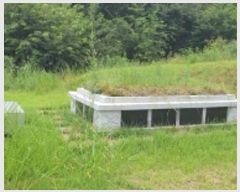  2024Ÿ19853 泲 ȫ ȫ ߰踮 418-7      (Ӿ)