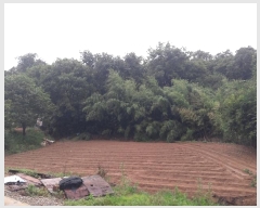  2024Ÿ��20082  �Ӿ߰��