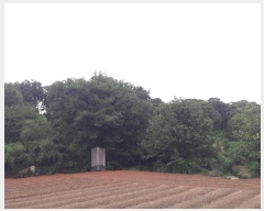  2024Ÿ��20082  �Ӿ߰��