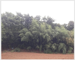  2024Ÿ��20082  �Ӿ߰��