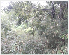  2024Ÿ��20082  �Ӿ߰��