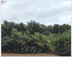  2024Ÿ��20082  �Ӿ߰��